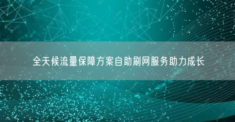 全天候流量保障方案自助刷网服务助力成长