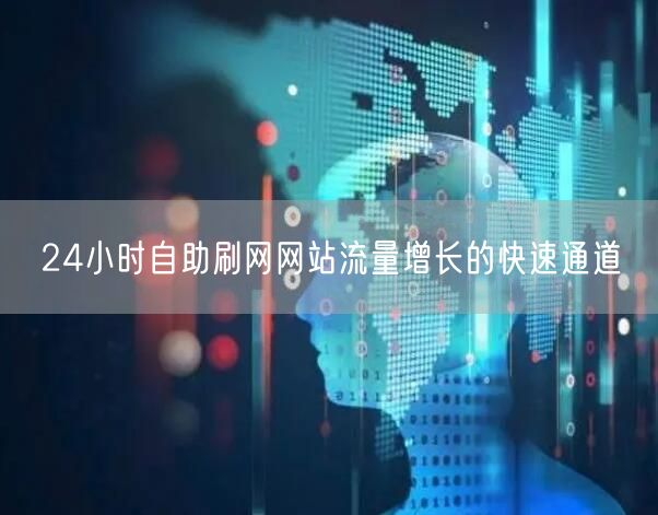 24小时自助刷网网站流量增长的快速通道