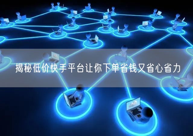 揭秘低价快手平台让你下单省钱又省心省力