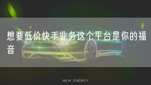 想要低价快手业务这个平台是你的福音