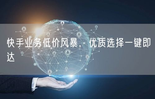 快手业务低价风暴，优质选择一键即达