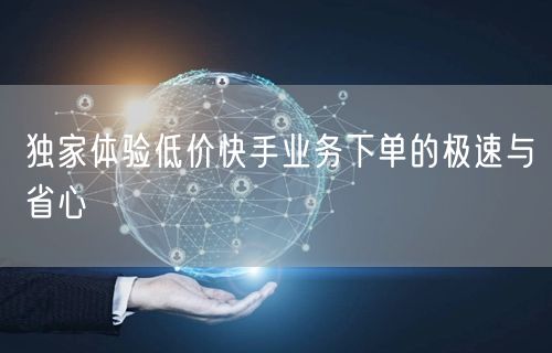独家体验低价快手业务下单的极速与省心